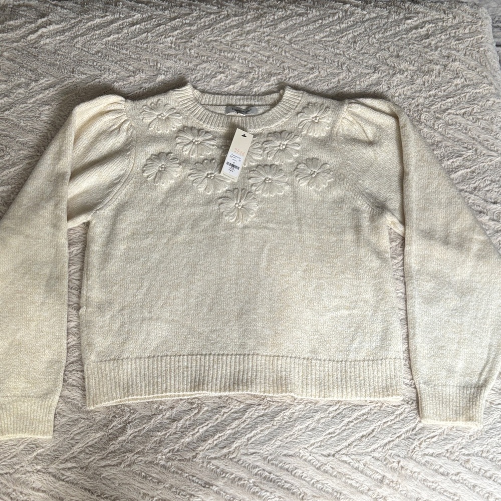 Francesca’s Cream Sweater with Floral Embroidery M